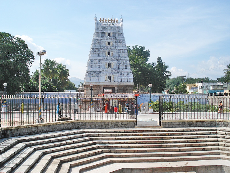 srinivasa mangapuram sri kalyana venkateshwara swami temple Tirupati